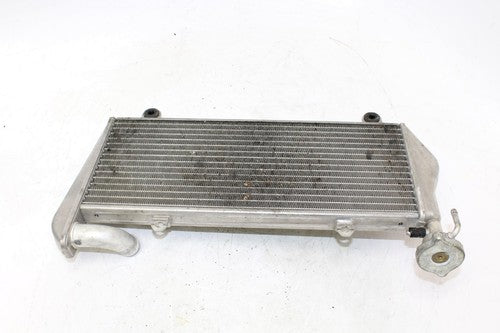 2012 Ducati 1199 Panigale S Tricolore Engine Radiator Motor Cooler Cooling