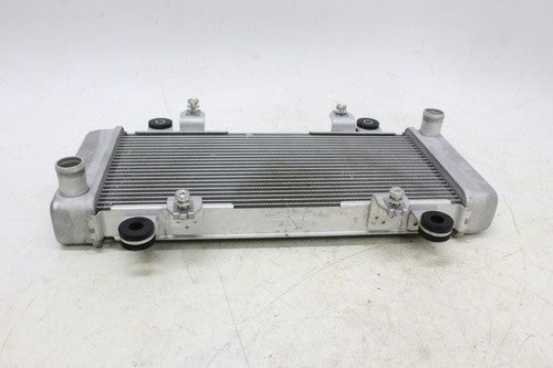 2013 Kawasaki Ninja 300 Ex300a Engine Radiator Motor Cooler Cooling Radiater