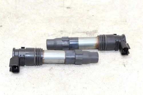 2014 Kawasaki Ninja 300 Ex300a Ignition Coils Coil Spark Plug Caps