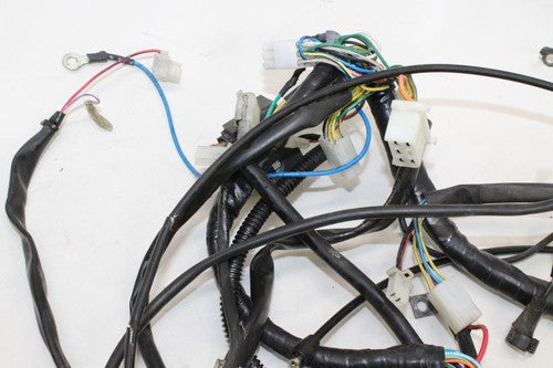 2002 Aprilia Scarabeo 150 Main Engine Wiring Harness Motor Wire Loom OEM