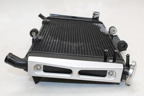 2007 Yamaha Fz6 Engine Radiator Motor Cooler Cooling 4s8-12461-00-00 OEM