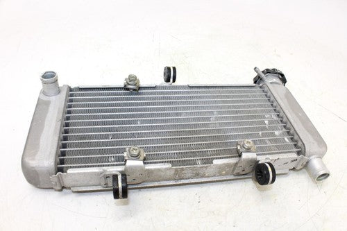 2013 Honda Cbr250r Engine Radiator Motor Cooler Cooling Radiater