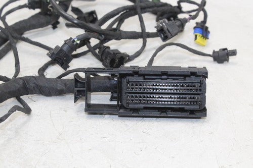 2008-18 Bmw F800gs Speedo Gauges Wiring Harness Wire Loom OEM