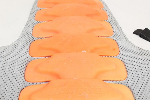 DAINESE Back Protector Plates *USED*