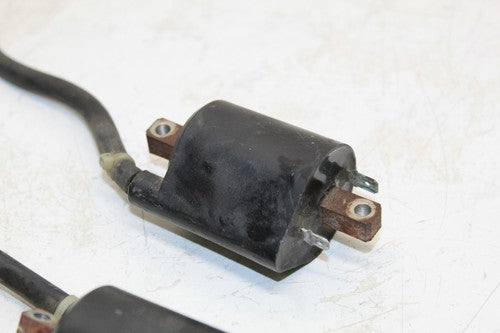 2001 Suzuki Intruder 1400 Vs1400glp Ignition Coils