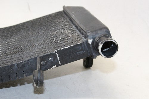 1995 Honda Cbr600f3 Engine Radiator Motor Cooler Cooling Radiater