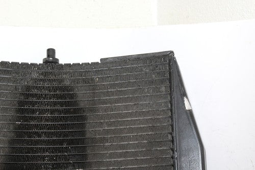 1994 Suzuki Rf900r Engine Radiator Motor Cooler Cooling Radiater