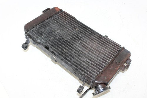 2002 Suzuki Sv650 Engine Radiator Motor Cooler Cooling Radiater