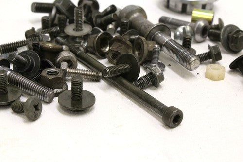 2001-2005 Yamaha Fz1 Engine Mounting BOLTS Hardware Motor Screws OEM