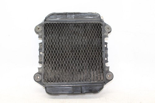 2004 Kawasaki Ninja 250r Ex250f Engine Radiator Motor Cooler Cooling Radiater