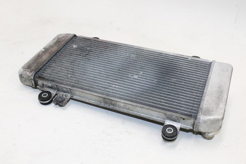 08-12 Kawasaki Ninja 250r Ex250j Engine Radiator Motor Cooler Cooling OEM