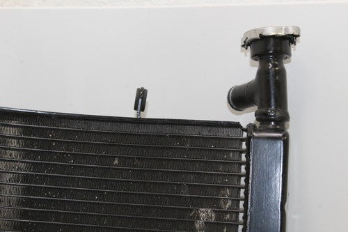 2009-12 Triumph Daytona 675r Engine Radiator Motor Cooler Cooling Radiater OEM