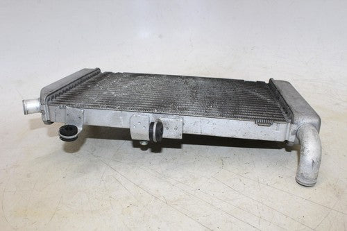 2007 Honda Silver Wing 600 Fsc600 Engine Radiator Motor Cooler Cooling Radiater