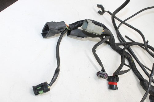 2005 Harley-davidson Sportster 883 Xl883l Main Engine Wiring Harness Motor OEM