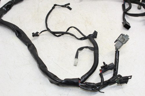 2001 Harley-davidson Electra Glide Classic Efi Flhtci Main Engine Wiring Harness