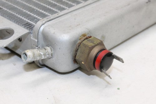 2007 Piaggio Bv 250 Engine Radiator Motor Cooler Cooling Radiater OEM