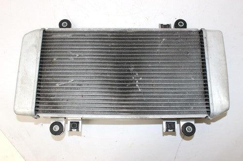 2009 Kawasaki Ninja 250r Ex250j Engine Radiator Motor Cooler Cooling Radiater
