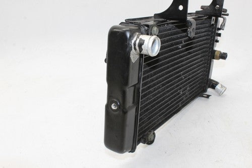 2005 Suzuki Vstrom 1000 Dl1000 Engine Radiator Motor Cooler Cooling Radiater OEM