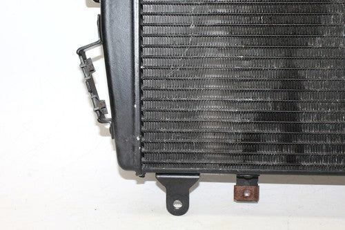 2009 Triumph Tiger Engine Radiator Motor Cooler Cooling Radiater