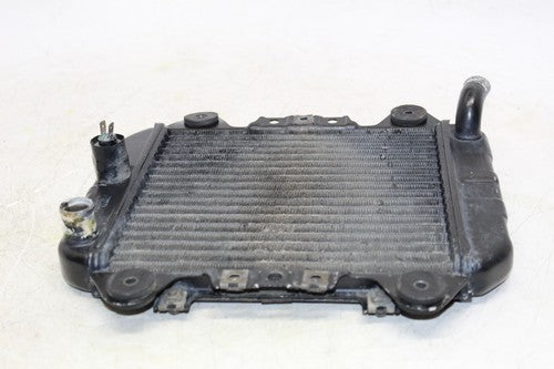 1989 Kawasaki Ninja 250r Ex250f Engine Radiator Motor Cooler Cooling Radiater