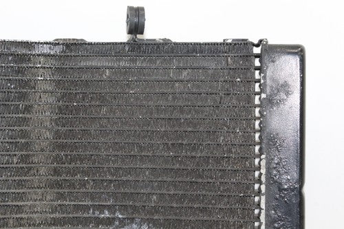 1999 Honda Cbr600f4 Engine Radiator Motor Cooler Cooling 19010-mbw-671 OEM