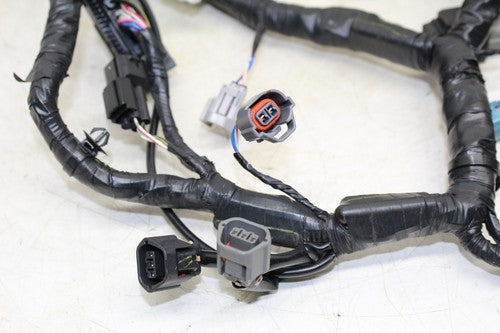 2013 Kawasaki Ninja 300 Ex300b Main Wiring Harness Cable