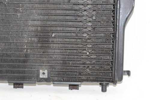 86-06 Kawasaki Concours 1000 Zg1000a Engine Cooler Cooling Radiator Radiater OEM