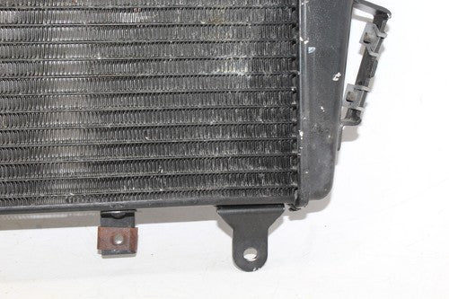 2009 Triumph Tiger Engine Radiator Motor Cooler Cooling Radiater