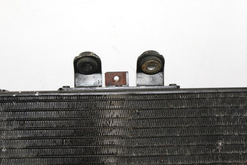 2009 Triumph Tiger Engine Radiator Motor Cooler Cooling Radiater