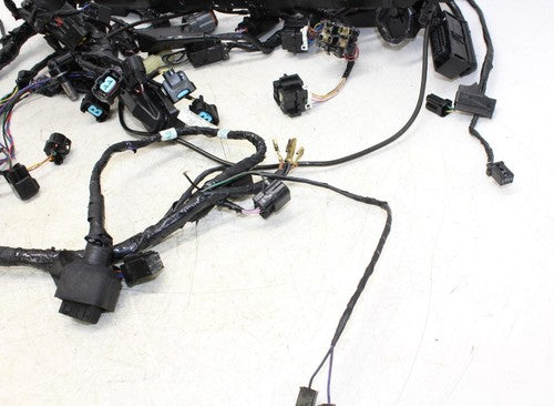 13-16 Triumph Daytona 675r Abs Main Engine Wiring Harness Motor Wire Loom OEM
