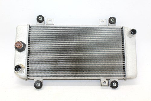 2010 Kawasaki Ex250-j Engine Radiator Motor Cooler Cooling Radiater