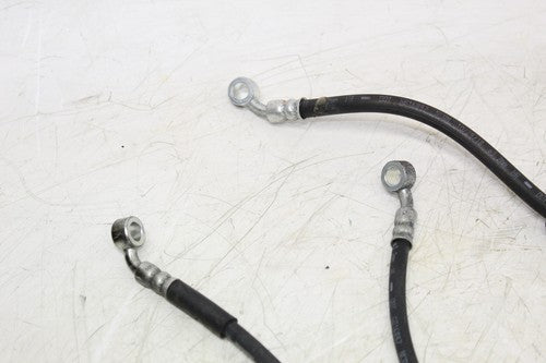 2019 Suzuki Gsxr750 Rear Back Front Brake Hose Fluid Line Set