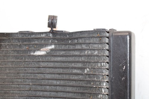 2005 Honda Cbr600f4i Engine Radiator Motor Cooler Cooling Radiater
