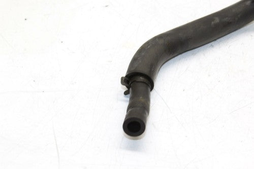 1998-2005 Honda Super Hawk 1000 Vtr1000f Rear Back Master Fluid Reservoir Tank