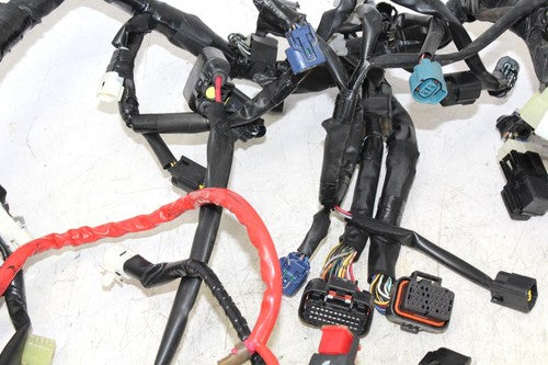 2015 Yamaha Fz09 Main Engine Wiring Harness Motor Wire Loom