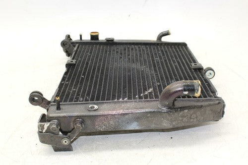 02-03 Yamaha Yzf R1 Engine Radiator Motor Cooler Cooling Radiater OEM