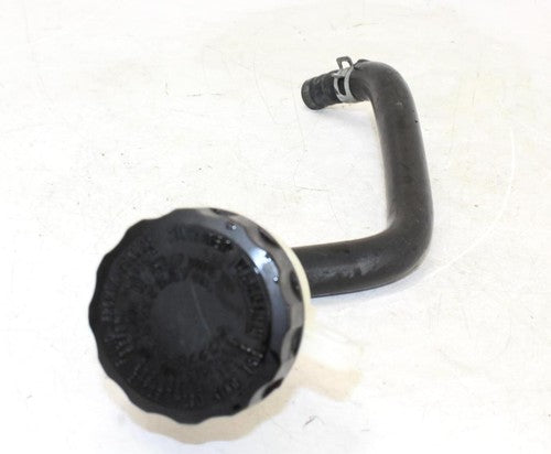 1999 Triumph Legend Tt Rear Back Brake Master Cylinder W Reservoir