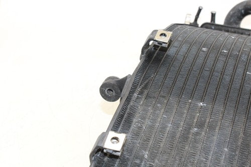 2002 Honda Cbr954rr Engine Radiator Motor Cooler Cooling Radiater