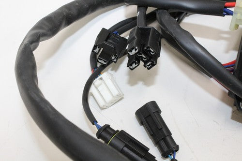 2000 Cagiva Gran Canyon 900 Main Engine Wiring Harness Motor Wire Loom OEM