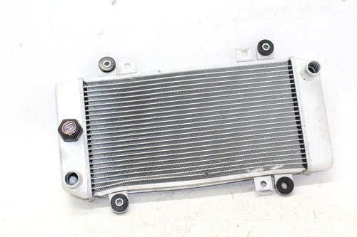 08-11 Kawasaki Ninja 250r Ex250j Engine Radiator Motor Cooler Cooling Radiater