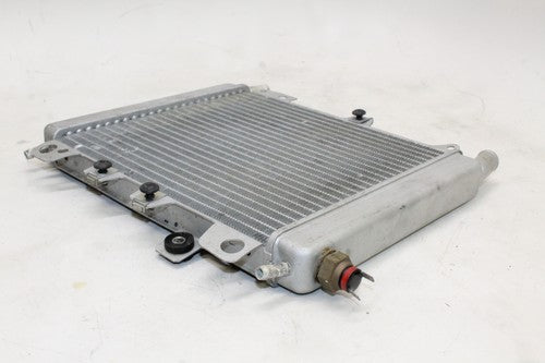 2007 Piaggio Bv 250 Engine Radiator Motor Cooler Cooling Radiater OEM