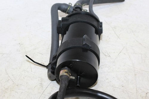 1996 Honda Elite 80 Ch80 Evap Vapor Charcoal Emission Canister