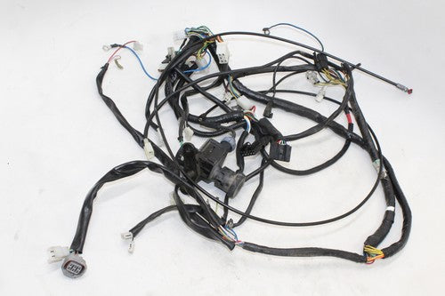 2002 Aprilia Scarabeo 150 Main Engine Wiring Harness Motor Wire Loom OEM