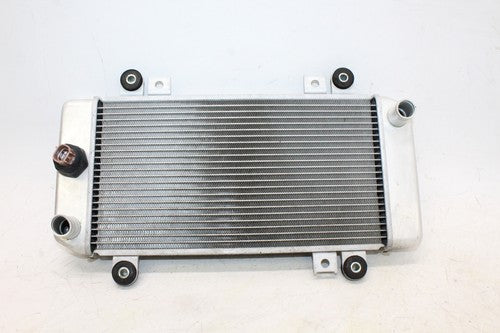2009 Kawasaki Ninja 250r Ex250j Engine Radiator Motor Cooler Cooling Radiater