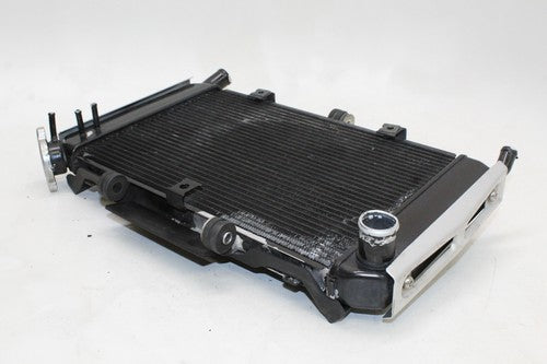 2007 Yamaha Fz6 Engine Radiator Motor Cooler Cooling 4s8-12461-00-00 OEM