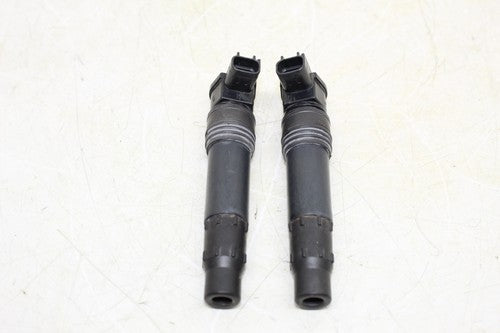 2013 Kawasaki Ninja 650 Ex650e Ignition Coils Spark Plug Cap