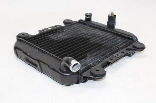 88-2007 Kawasaki Ninja 250r Ex250f Engine Radiator Motor Cooler Cooling OEM