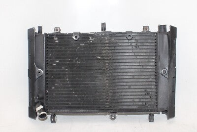 01-05 YAMAHA FZ1 Fazer FZS1000 OEM ENGINE RADIATOR MOTOR COOLER COOLING RADIATER