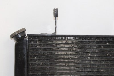 04-09 SUZUKI VSTROM 650 DL650 OEM ENGINE RADIATOR MOTOR COOLER COOLING RADIATER