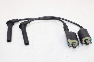 06-24 KAWASAKI VULCAN 900 VN900B CLASSIC OEM IGNITION COILS